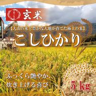 1108.令和7年産　こしひかり玄米　5kg 313726_CH003