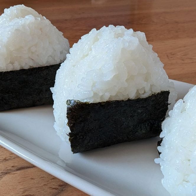 米 無洗米 令和7年産 コシヒカリ 5kg×2 秋田県 にかほ市 お米 こめ