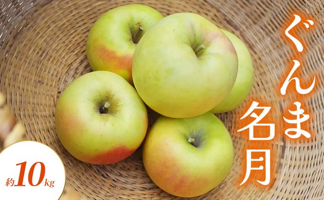 【2026年10月～発送】りんご ぐんま名月 約 10kg フルーツ 果物 黄色 秋 旬の果物 旬のフルーツ 長野県産