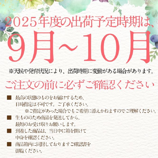 2026年 先行予約シャインマスカット 晴王 1房約720g 9月～10月出荷/ 岡山県産 種無し 皮ごと食べる みずみずしい フレッシュ 晴れの国 おかやま　 果物大国 彩美菜果