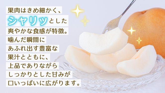 ＜ 訳あり ＞ 新高 約5kg 【2026年10月より発送開始】（茨城県共通返礼品 [梨]：大子町産） ご家庭用 フルーツ なし ナシ 和梨  梨 わけあり 果実 旬のフルーツ お取り寄せ くだもの 果物 みずみずしい
