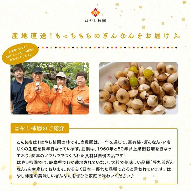 藤九郎 ぎんなん（大粒）1kg | ぎんなん 銀杏 大粒 もちもち おつまみ 酒の肴 秋 野菜 イチョウ 疲労回復 美容 炊き込みご飯 茶碗蒸し 人気 はやし柿園 産地直送 送料無料 岐阜 瑞穂市 ※2026年11月～発送