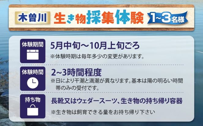 木曽川の生き物採集体験 1〜3名まで 体験 チケット 採集 愛西市 / 艶麗[AEDD007]