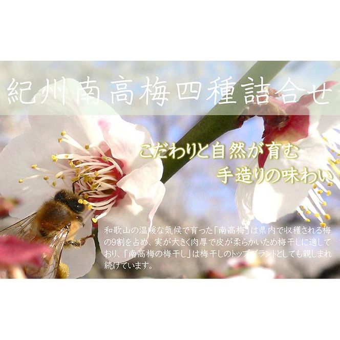 【定期便/2か月ごと/全5回】厳選紀州南高梅四種詰合せ