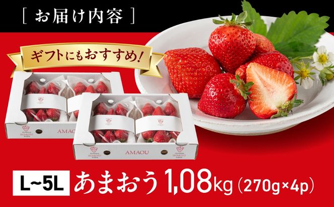 【農園直送】糸島のあまおう 270g×4パック (サイズおまかせL〜5L) 果物 フルーツ いちご / 糸島市 / 磯本農園 / TANNAL[ATB004]