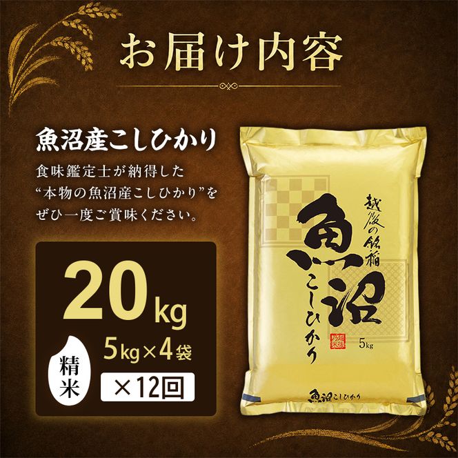 【令和8年産 先行予約】「12カ月定期便」食味鑑定士厳選！魚沼産こしひかり 20kg（5kg×4）×12回 米 コシヒカリ 定期 新潟県 十日町市