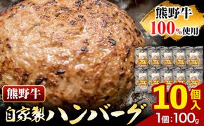 牛肉 熊野牛 自家製ハンバーグ 10個入り 株式会社Meat Factory《30日以内に出荷予定(土日祝除く)》和歌山県 日高川町 熊野牛 黒毛和牛 ハンバーグ 惣菜 自家製 送料無料---wshg_fmfy33_30d_24_17000_10k---