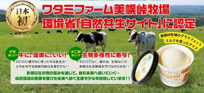 美幌グラスフェッドアイス　リッチミルク6個