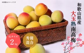 【梅干・梅酒用】大玉4Lサイズ約2kg 熟南高梅 秀優混合 / 梅 フルーツ 梅酒 生梅 南高梅 完熟 うめ 梅干し 生梅 ウメ 和歌山  南高梅 ※2027年6月上旬～7月上旬頃発送予定 ※沖縄・離島への配送不可 【art023A】