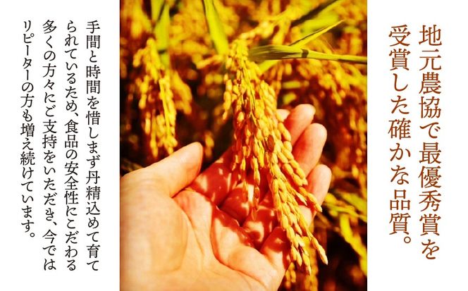 BE-5c T rice Store 岐阜県産コシヒカリ（玄米） 約5kg