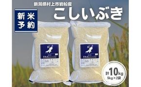 【新米受付・令和8年産米】新潟県村上市岩船産 こしいぶき10kg（5kg×2袋）1099005N