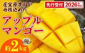 【先行受付】【2026年発送】屋宜原農園が丹精込めた「アップルマンゴー」優約2kg - 先行予約 沖縄県産 産地直送 南国フルーツ 旬の味覚 季節の果物 贈り物 ギフト 沖縄県 八重瀬町