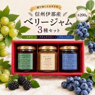 信州伊那産 ベリージャム200g3種（すぐり・ブラックベリー・ブルーベリー）| フルーツ ジャム すぐり ブラックベリー ブルーベリー 完熟 つみたて 加工品 長野県 伊那市【013-84】