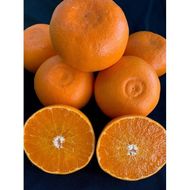 せとか家庭用 3kg М～2Lサイズ 混合 　【マルシ農園】 CC55