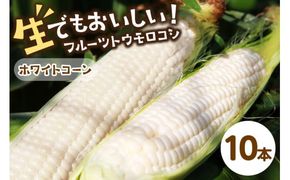 【先行予約】 生食も！高糖度！もぎたて！ フルーツトウモロコシ「ホワイトコーン」（2026年6月下旬～発送）　DE00134