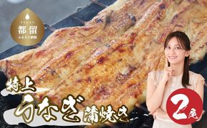 【おいしい訳あり！】うなぎのかば焼き うなぎの蒲焼（半カット）2尾　380g以上　JK001_01
