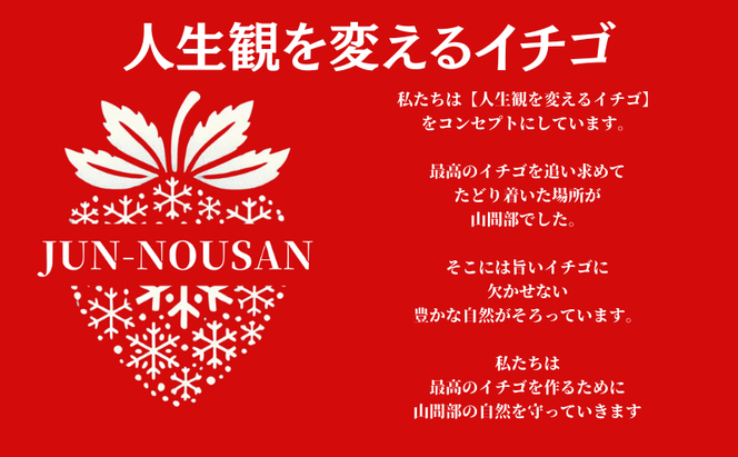 ＜先行予約＞【伊勢神宮おはらい町で3時間で完売】グルメ家が「今までで1番旨い」とうなったイチゴ【女神の雫】 2027年1月 2月 3月 4月 450g 岐阜県 美濃市 じゅん農産 2 苺 イチゴ いちご フルーツ