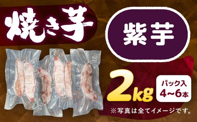 選べる品種/ 焼き芋 紫芋 2kg (4〜8本) さつまいも 焼きいも おやつ 愛西市 / 就労継続B型事業所ヤシの木[AEDG003]
