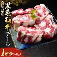 【希少部位】宮崎県産黒毛和牛 テール 1頭分 (黒毛和牛 和牛 牛肉 牛テール テール テール肉 希少部位 牛1頭分 煮込み テールスープ テールシチュー スープ)