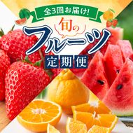 【定期便　全3回】魚鶴商店　旬のフルーツ定期便_G60-T82