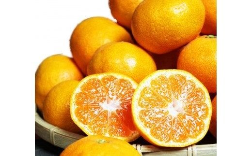 【ご家庭用訳アリ】 先行予約 紀州有田産濃厚完熟温州みかん　7.5kg　※2026年11月下旬～2027年1月下旬頃に順次発送予定(お届け日指定不可) みかん 柑橘類【uot704A】