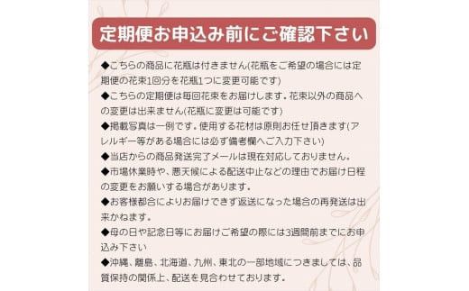 【定期便 全6回・毎月2回】「毎月2回」届く、旬の花束【 神奈川県 小田原市 】 142069_BN050