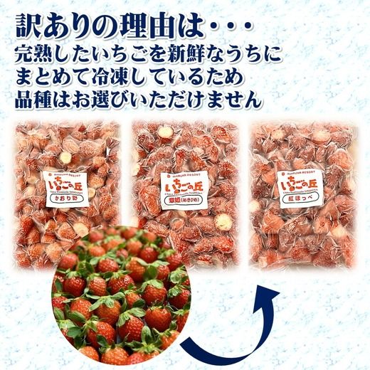 まるは食堂 マルハリゾート いちごの丘 『訳あり』 完熟 冷凍いちご 500g | 訳あり いちご イチゴ 冷凍 国産 完熟 スムージー ジャム ヨーグルト シャーベット デザート アイス おやつ 果物 フルーツ 愛知県 美浜町 ※北海道・沖縄・離島への配送不可