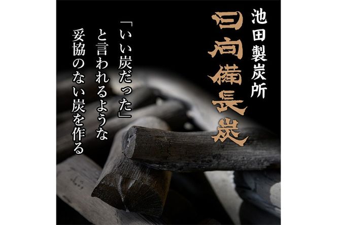 ＜訳あり＞ 日向備長炭(5kg) アウトドア キャンプ用品 BBQ バーベキュー 木炭 国産【IK-4】【池田製炭所】