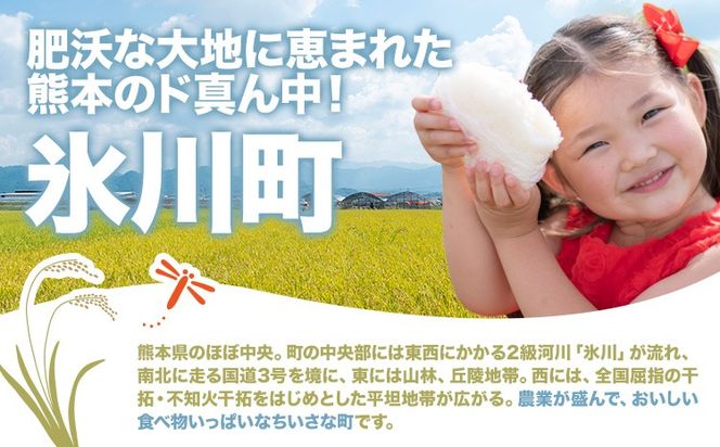 令和7年産 新米 無洗米 清流きたかの米 5kg or 10kg or 15kg or 20kg《1月出荷予定》熊本県産 無洗米 白米 精米 氷川町 送料無料コメ 便利 ブランド米 お米 おこめ 熊本 SDGs---hkw_ktkn7_ac1_r7_12000_5kg---