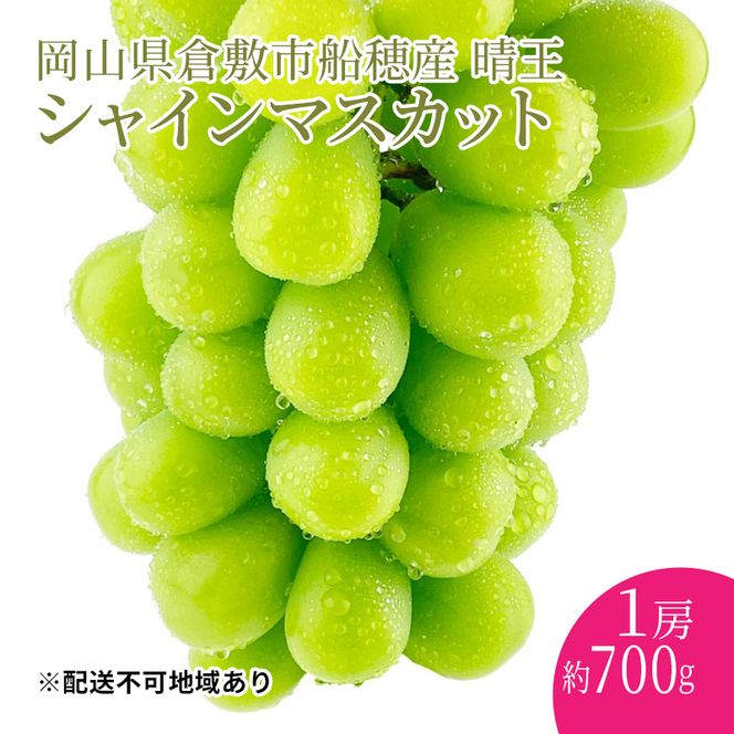 ぶどう 2026年度分 先行予約 【プレミアムシャインマスカット 晴王 1房 約700g】船穂産　赤秀品以上  岡山県産 葡萄 ブドウ ギフト ハレノフルーツ 皮ごと食べる みずみずしい 