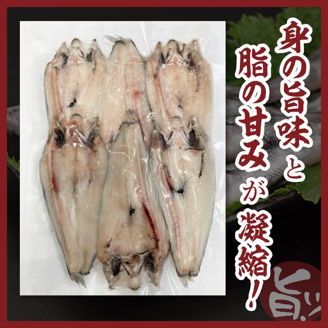 メヒカリ開き【めひかり 目光 魚 海産物 茨城県 北茨城市 冷凍 惣菜 おかず おつまみ】(CU009)