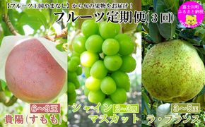 【2026年発送分】【数量限定】【やまなしフルーツ定期便（３回）】 貴陽（すもも）（６-９玉）＆シャインマスカット（２kg前後・３-４房）＆ラ・フランス（1.5kg以上・３-５玉）　定期便　果物 フルーツ くだもの すもも 貴陽 李 プラム シャイン 洋ナシ 洋梨 洋なし 山梨 やまなし 富士川町