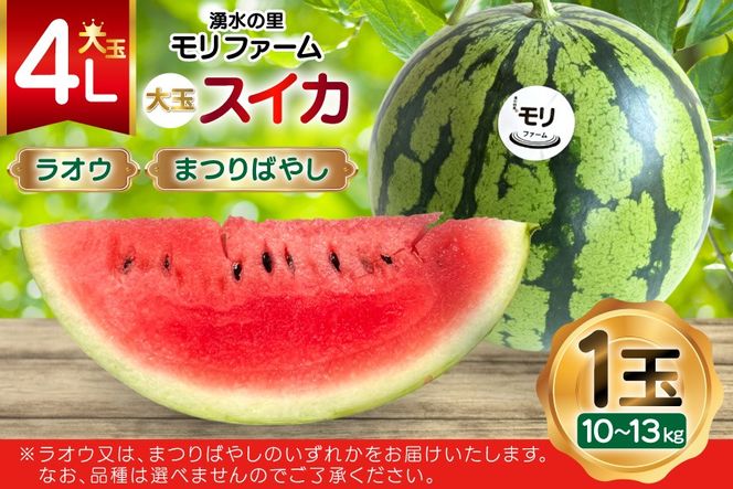 AJ456 【令和8年度出荷分】 湧水の里 モリファーム 大玉スイカ ラオウ まつりばやし 4L 10～13kg 1玉 [ 先行予約 数量限定 すいか スイカ 西瓜 フルーツ 果物 長崎 長崎県 島原市 ]