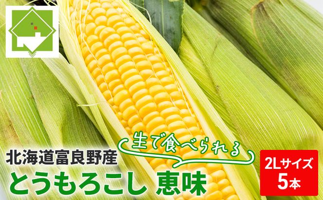 【2026年夏発送】富良野産 生で食べられる とうもろこし【恵味（めぐみ）】 2Lサイズ 5本