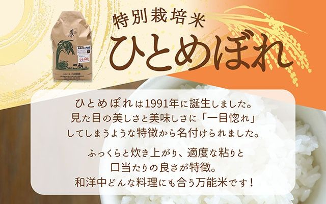 石垣農園の特別栽培米 ひとめぼれ 10kg 令和7年産 2025年産 ブランド米 山形県コシヒカリの原点、亀の尾発祥の地 庄内【030-024I】