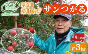 9月発送 家庭用 葉取らず サンつがる 約 3kg【 訳あり 】鶴翔りんごGAP部会 青森県産 津軽産 リンゴ 林檎 つがる 果物類 フルーツ