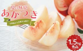 FYN9-895 ≪2026年先行予約≫ 贈答用 山形県産 白桃 あかつき 1.5kg(5～7玉) 秀品 2026年7月下旬から順次発送 柔らかくなる桃 果物 くだもの フルーツ 夏果実 桃 もも ピーチ 化粧箱 ギフト箱 贈答 ギフト プレゼント 中元 自宅 家庭 産地直送 山形県 西川町 月山