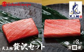 099Z220 【高島屋選定品】<東洋冷蔵> 天上鮪 贅沢セット 定期便 全3回【毎月配送 刺身 海鮮丼 鮪 まぐろ マグロ 小分け】