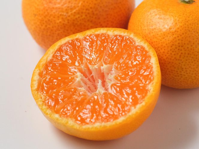 【先行予約】【秀優混合】紀州和歌山産 温州みかん「小粒っこ」約10kg（箱込み）2S～3S サイズ混合 小玉みかん（極早生・早生・中生）