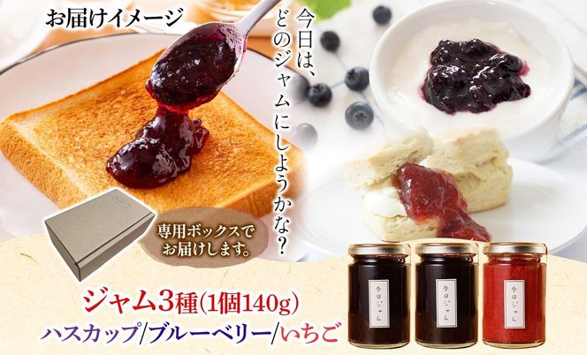 【ふるさと納税】ジャム3種セット 各1個 ハスカップジャム ブルーベリージャム いちごジャム  今日ジャム 北海道産 自家製 パン ヨーグルト 朝食 濃厚 甘い デザート スイーツ おやつ グルメ ご褒美 贅沢 ギフト 送料無料 北海道 滝川市