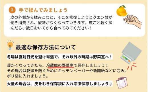 ご家庭用 訳あり 不知火 約3.5kg ＋痛み保証分 大小混合 〈2027年2月初旬～3月下旬までに順次発送〉 家庭用 訳アリ わけあり みかん ミカン フルーツ 果物 くだもの 不知火 しらぬい 不知火デコポン 蜜柑 柑橘 人気 予約 先行予約 数量限定【njb670E】