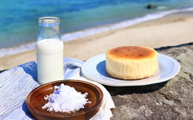 糸島チーズケーキ 1個(4号) 糸島市 / 五洋食品産業[AQD038] 冷凍ケーキ お菓子 スイーツ クリスマス 誕生日 チーズケーキ 濃厚 プレゼント