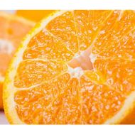 【先行予約】【農家直送】不知火（しらぬい） ご家庭用 約5kg