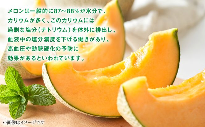 レノンメロン 2玉 4L以上（合計4kg以上）メロン 赤肉メロン 果物 果実 くだもの フルーツ 熊本県 八代市