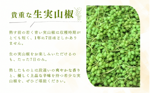 【先行予約・数量限定】 ぶどう生山椒 500g  ※2027年5月中旬から5月下旬にお届けいたします】/山椒 さんしょう 生山椒 生さんしょう 調味料 スパイス 香辛料 山椒の実 山椒の実生 実【twn044-budo-500】