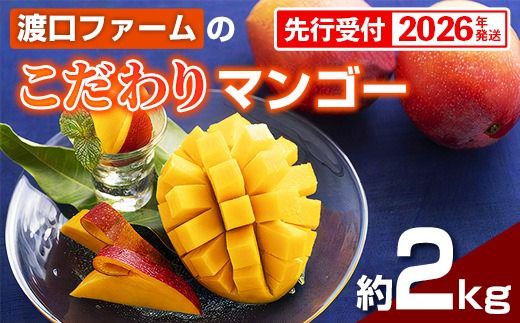 yꌧdzyϔzystE2026Nznt@[ }S[ 2kg - s\ ꌧY Yn 썑t[c {̖o G߂̉ʕ 蕨 Mtg ꌧ d
