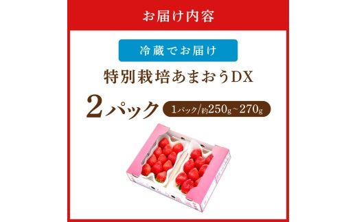 【先行予約受付中】【2026年12月以降順次発送】特別栽培あまおうDX2パック【うるう農園】_AS1965-00