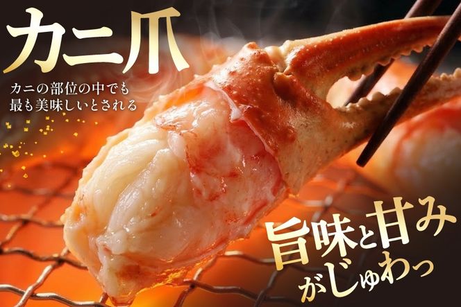 【CF02】リピーター続出！ 本ずわいがに爪 約700g [カネダイ 宮城県 気仙沼市 20564321_CF02] 蟹 かに カニ ずわいがに ズワイガニ ずわい蟹 ズワイ蟹 ずわい ズワイ 蟹 カニ爪 蟹爪 カニ爪肉 つめ 爪 ボイル