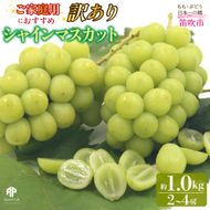 【2026年発送先行予約】笛吹市産　【訳あり】シャインマスカット　約1.0kg（２～4房） 205-021-26y