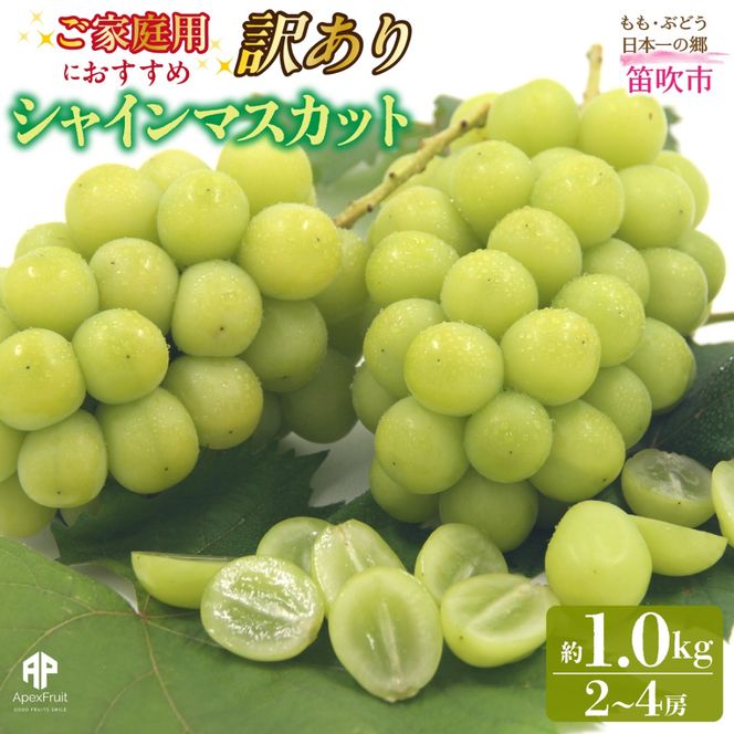 【2026年発送先行予約】笛吹市産　【訳あり】シャインマスカット　約1.0kg（２～4房） 205-021-26y